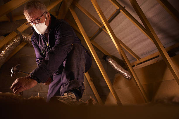 Types of Insulation We Offer in Shelbyville, KY