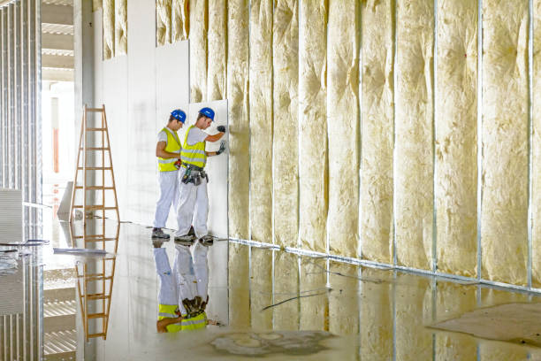 Best DIY Insulation Kits and Guidance in Shelbyville, KY
